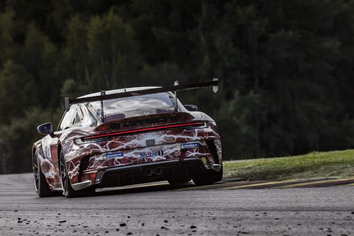 Porsche Carrera Cup Germany · Sachsenring · 2022 · photograph 5
